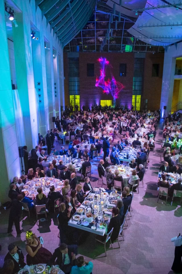 A large formal dinner event with elegantly dressed guests seated at tables, illuminated by colorful lighting and decorations.